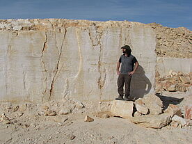 Réseau de stylolites dans le désert du Néguev.